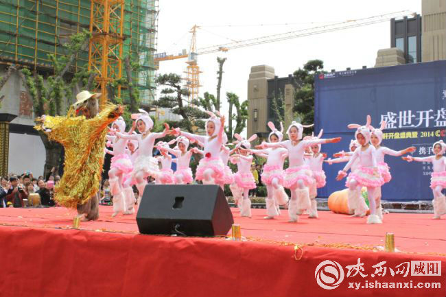 CCTV���ǹ�������������ѡ����ʢ����